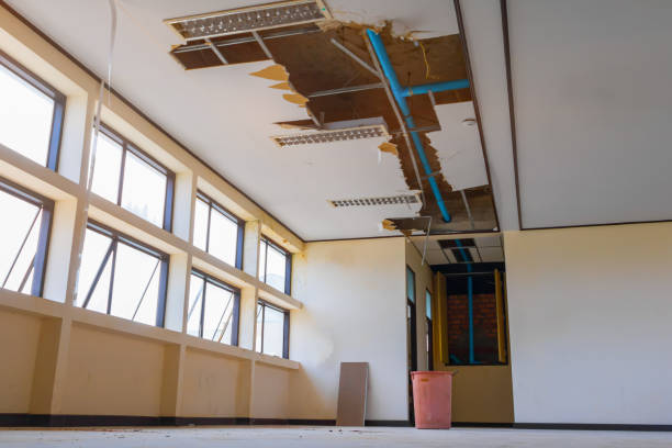 Best Flood damage cleanup  in Brundidge, AL