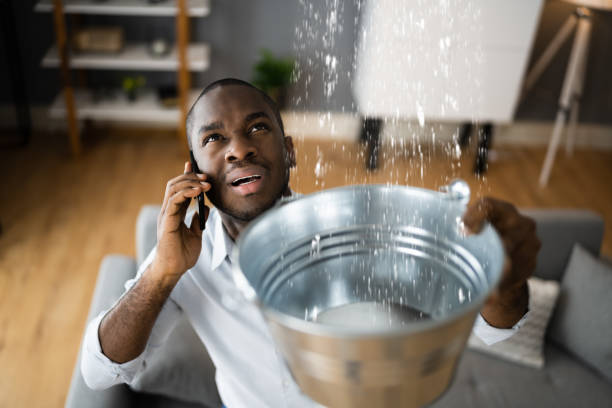 Best Mold removal after water damage  in Brundidge, AL