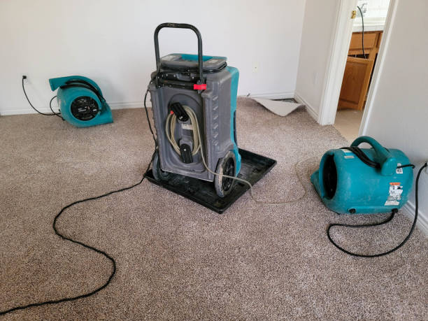 Best Water damage cleanup near me  in Brundidge, AL