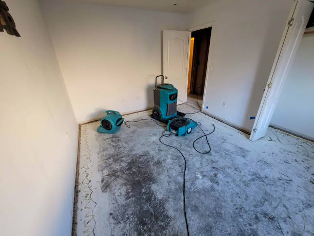 Best Emergency water damage restoration  in Brundidge, AL
