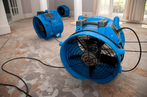 Best Commercial water damage restoration  in Brundidge, AL