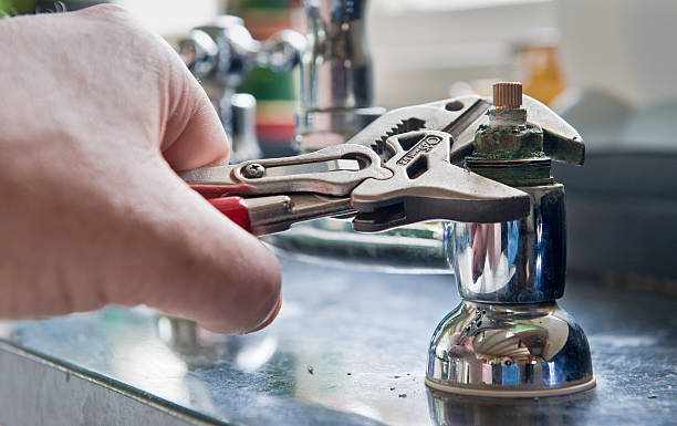Best Flood damage cleanup  in Brundidge, AL