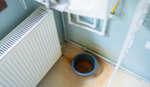 Best Fire Damage Restoration  in Brundidge, AL