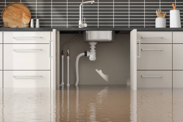 Best Basement water damage restoration  in Brundidge, AL