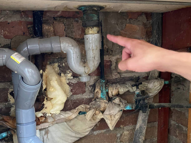 Best Ceiling water damage repair  in Brundidge, AL