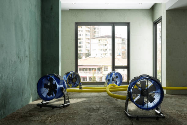 Best Flood restoration services  in Brundidge, AL