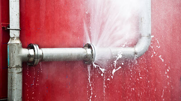 Best Residential water damage restoration  in Brundidge, AL