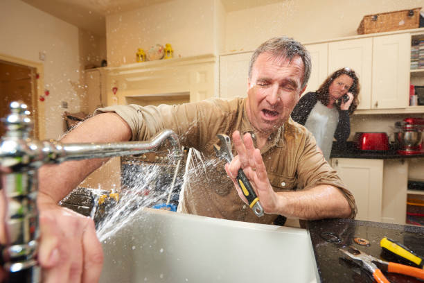 Best Flooded house restoration  in Brundidge, AL